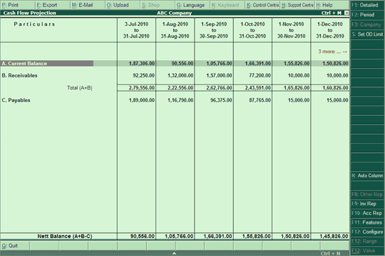 tally cash flow projection